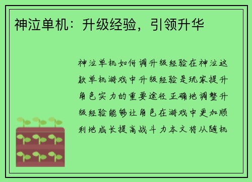 神泣单机：升级经验，引领升华